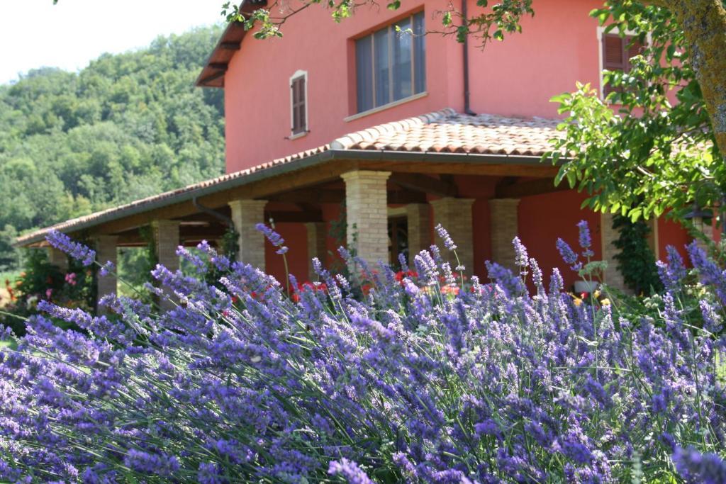Agriturismo La Rosa Tea Villa Urbania Luaran gambar